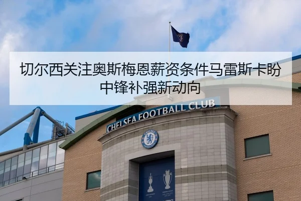切尔西关注奥斯梅恩薪资条件马雷斯卡盼中锋补强新动向